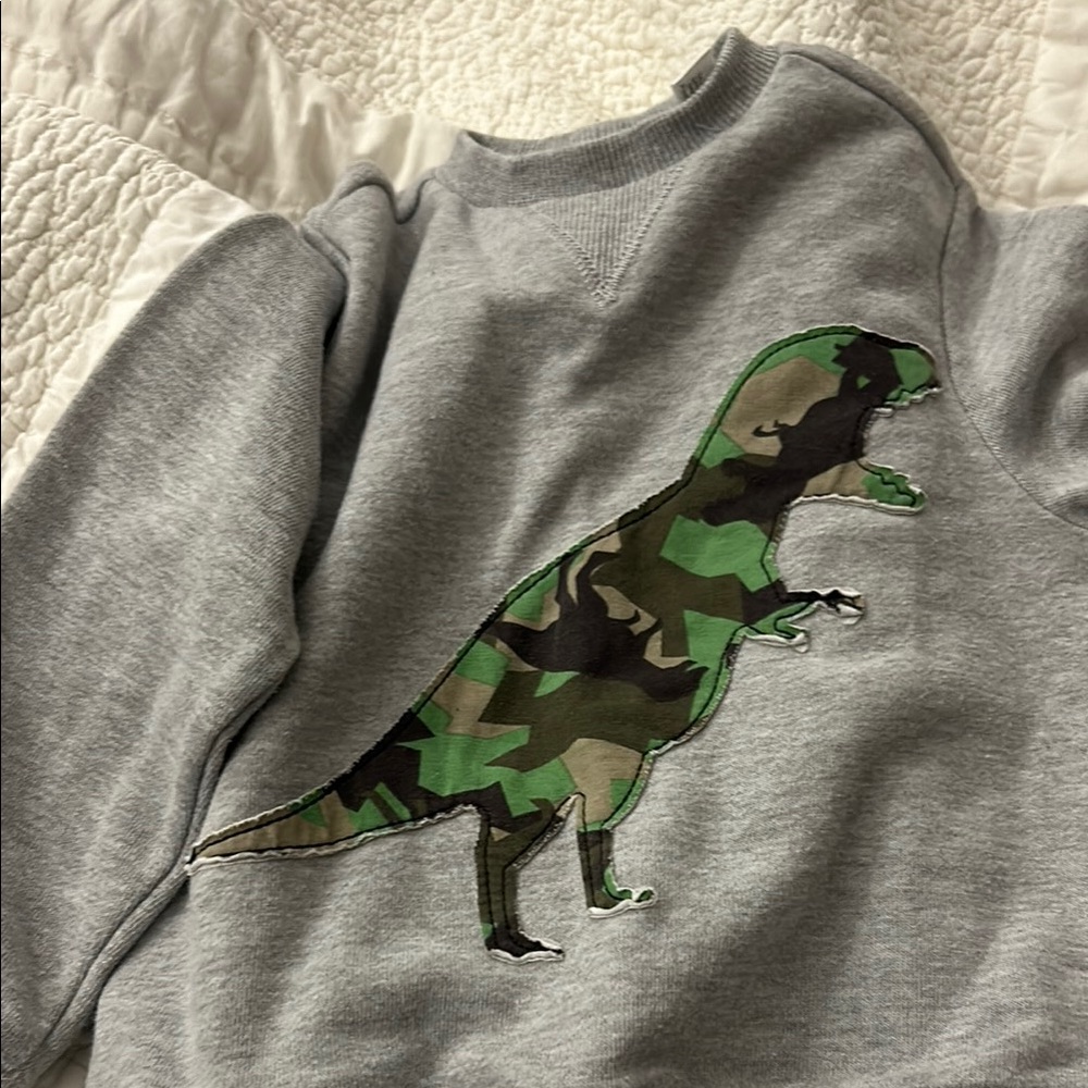 Gray Sweatshirt with Camouflage Dinosaur